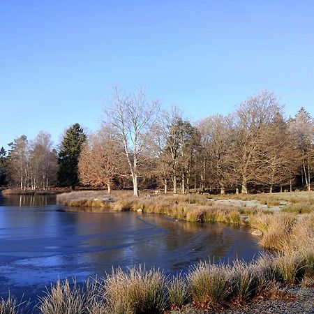 Damwildfarm In Rollerbue Suedschweden Villa Tyringe Exterior foto
