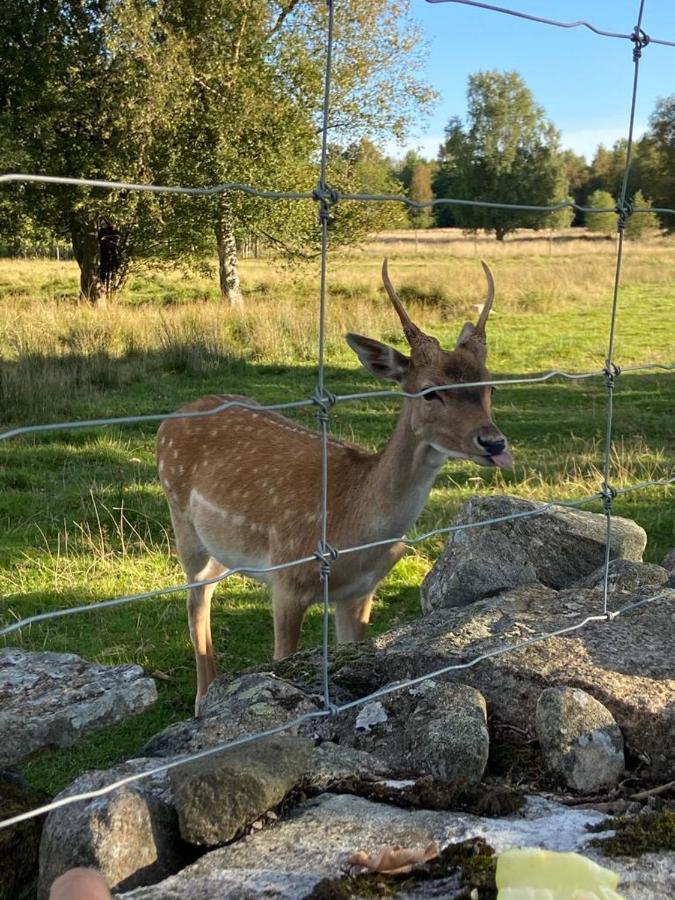 Damwildfarm In Rollerbue Suedschweden Villa Tyringe Exterior foto