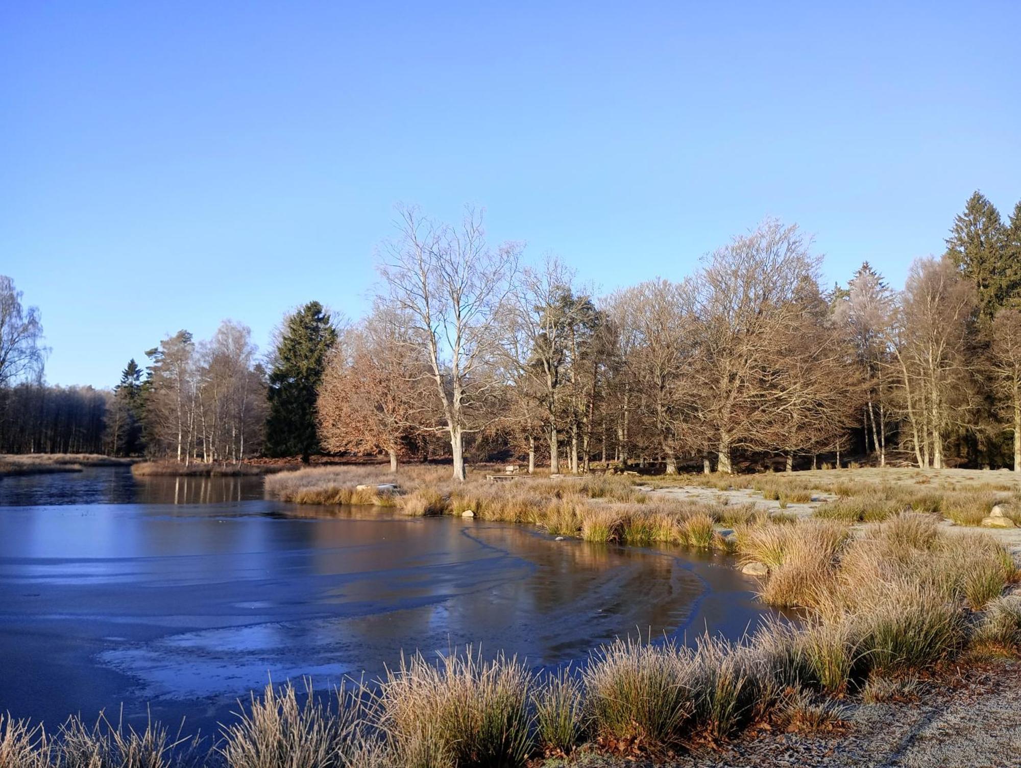 Damwildfarm In Rollerbue Suedschweden Villa Tyringe Exterior foto